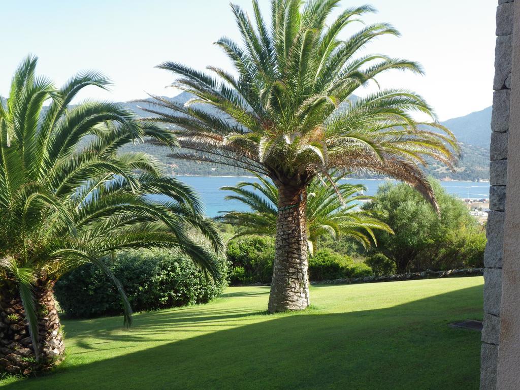Ferienwohnung Marina Di Fiori Propriano  Exterior foto